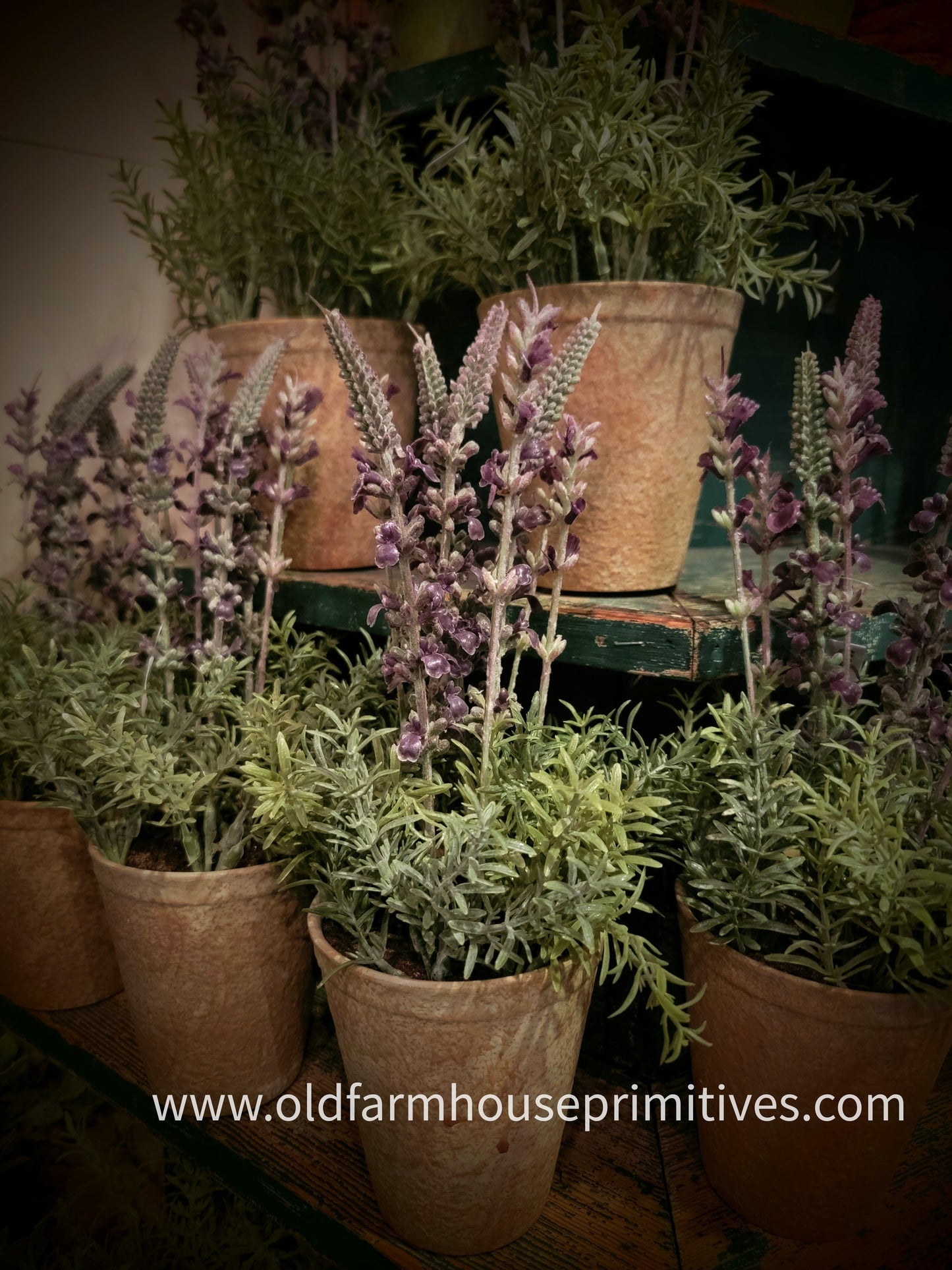 #17202A Primitive Lavender in Distressed Clay Pot