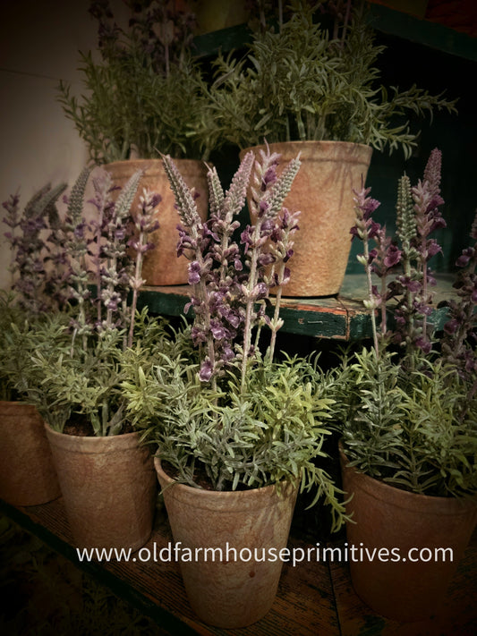 #17202A Primitive Lavender in Distressed Clay Pot