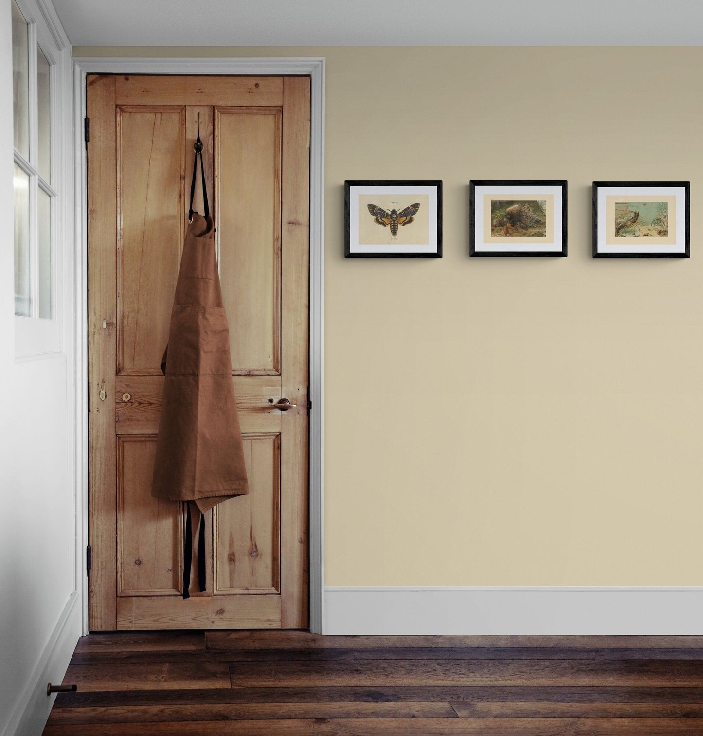 Death's Head Hawkmoth Print