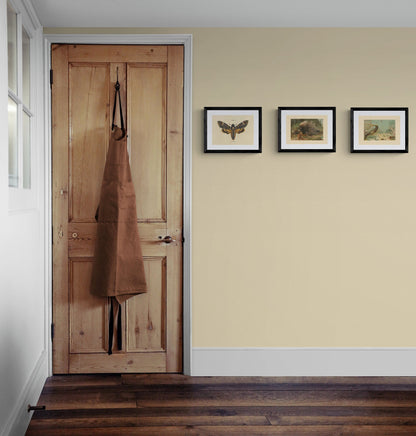 Death's Head Hawkmoth Print