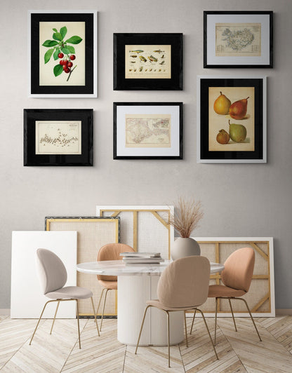 Battle of Waterloo Map showing positions in Battle