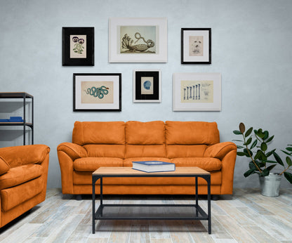 Cissus Javana or Rex Begonia Vine Print