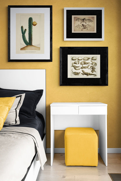 Cissus Javana or Rex Begonia Vine Print