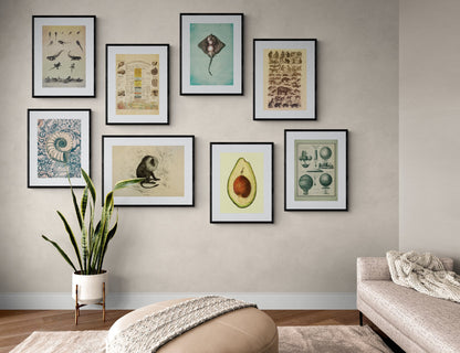 Geology and Palaentology Poster