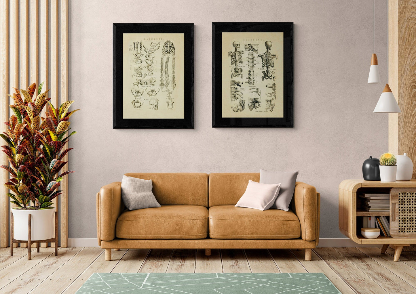 Backbone Skeleton Print