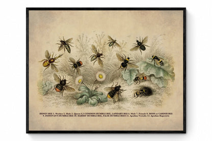 Bees Print