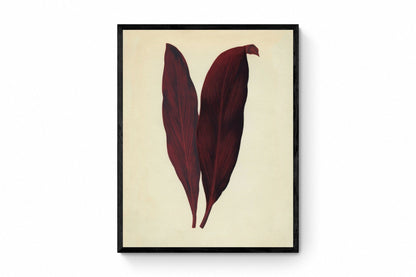 Dracaena Ferrea Print