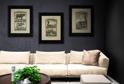 Barbarian Squirrel and Swiss Squirrel Print