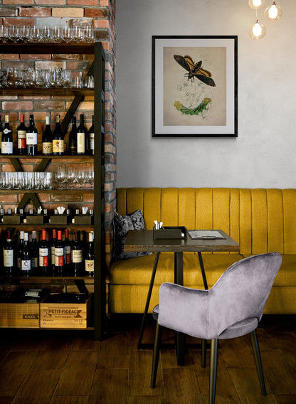 Death's Head Hawkmoth and Caterpillar Print