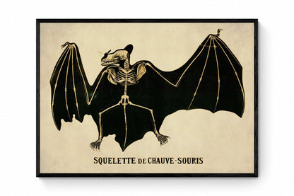 Bat Skeleton