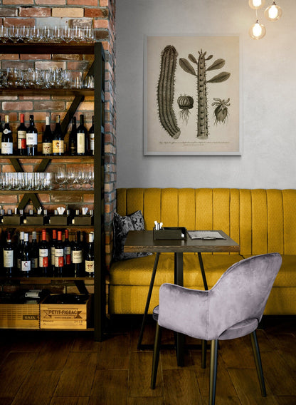 Euphorbia Species 1805