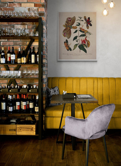 Lantern Fly (Fulgora) on a Flowering Fuchsia